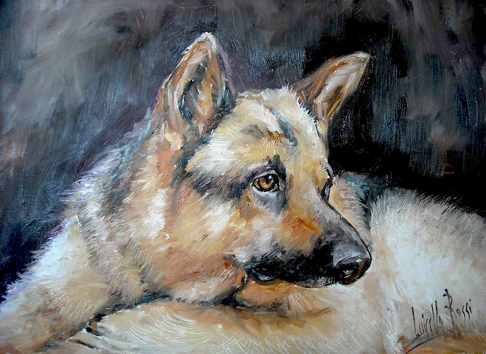 Cucciolo