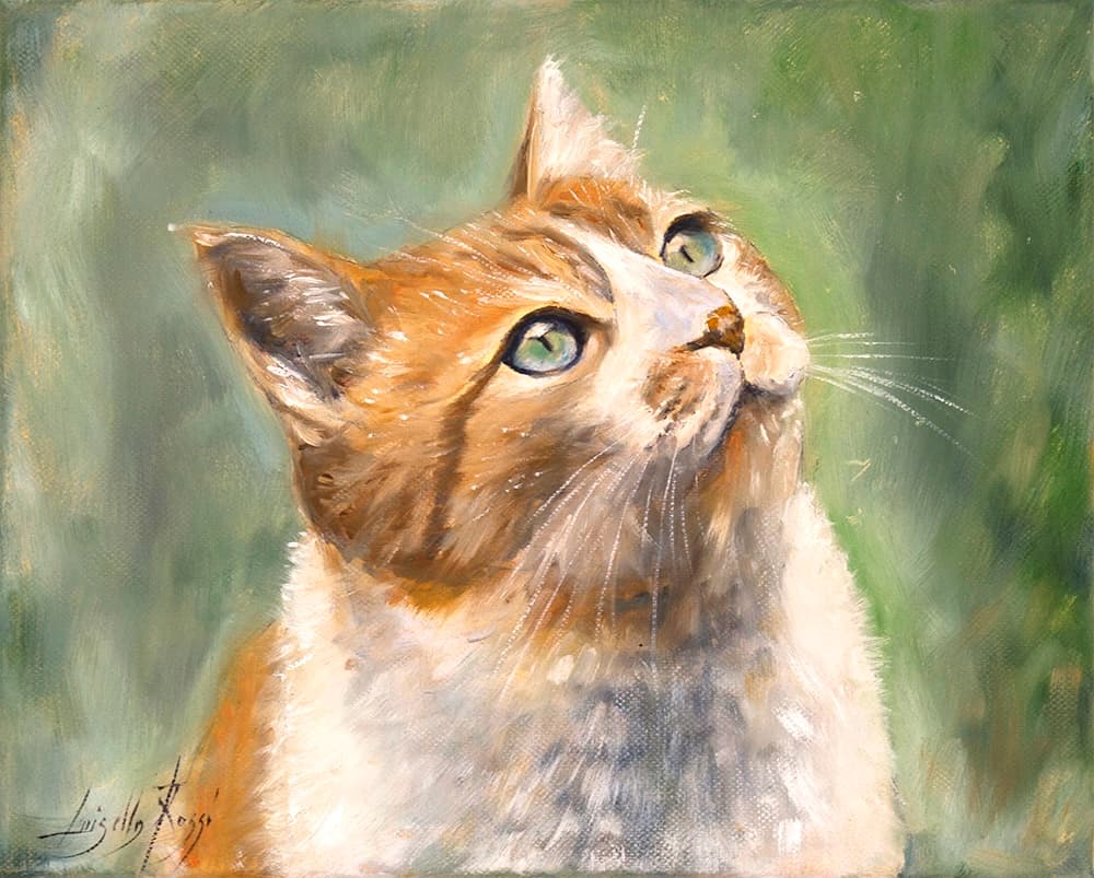 Gatto